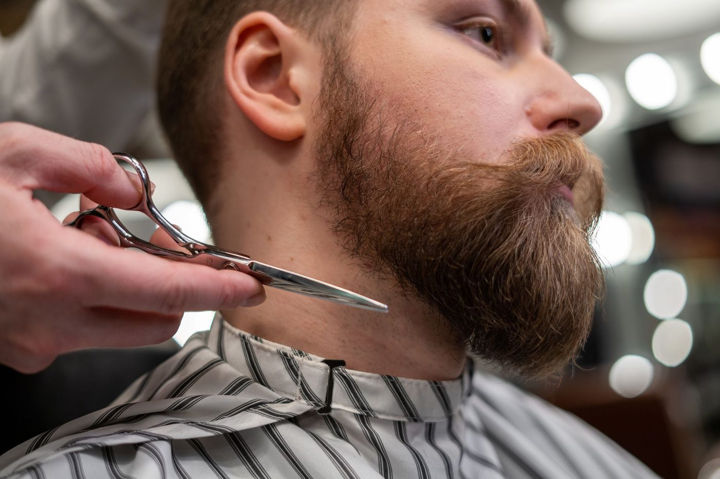 Barba a forbice
